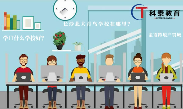 学it什么学校好?长沙北大青鸟学校在哪里?