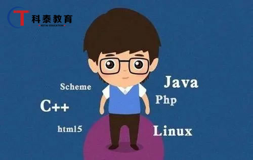 北大青鸟:学IT,你后悔了吗?
