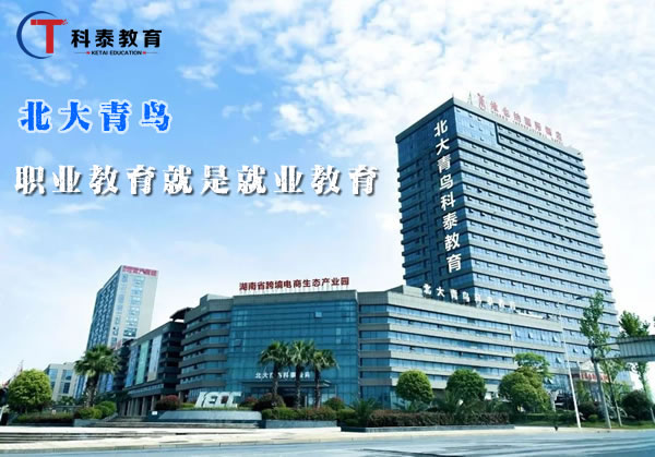 北大青鸟属于什么类型的学校?