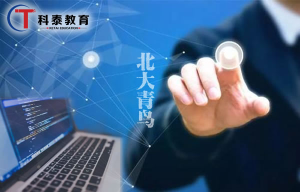 北大青鸟计算机专业都有哪些课程?