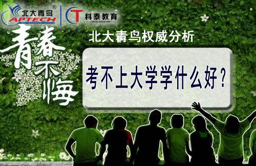 考不上大学学什么好？北大青鸟权威分析