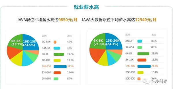 学Java软件开发，到底能干点什么呢？