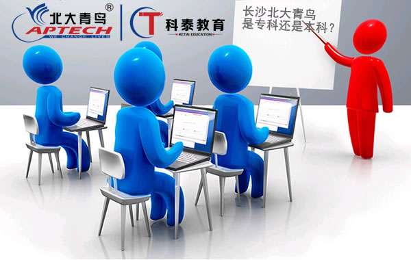 长沙北大青鸟是专科还是本科？
