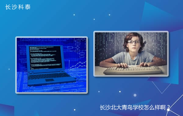 长沙北大青鸟学校怎么样啊?