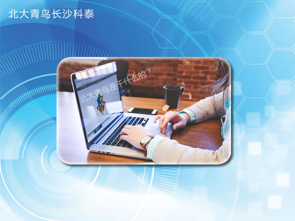 北大青鸟是干什么的?