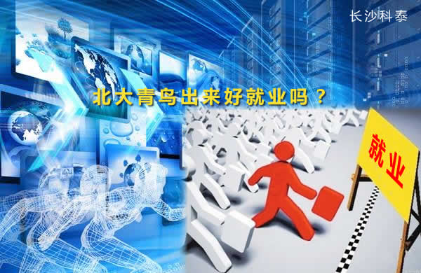 在北大青鸟学电脑,毕业出来好就业吗?