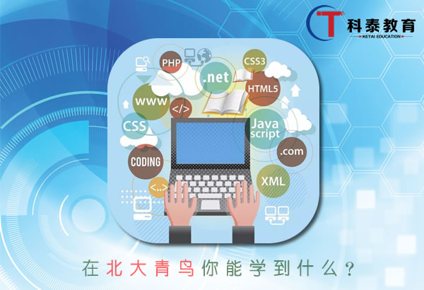 在北大青鸟你能学到什么?