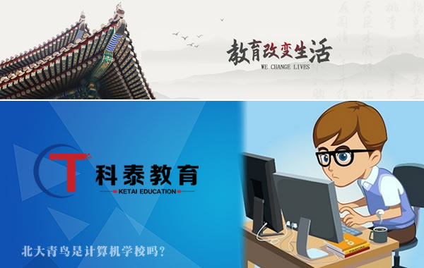 北大青鸟是计算机学校吗?
